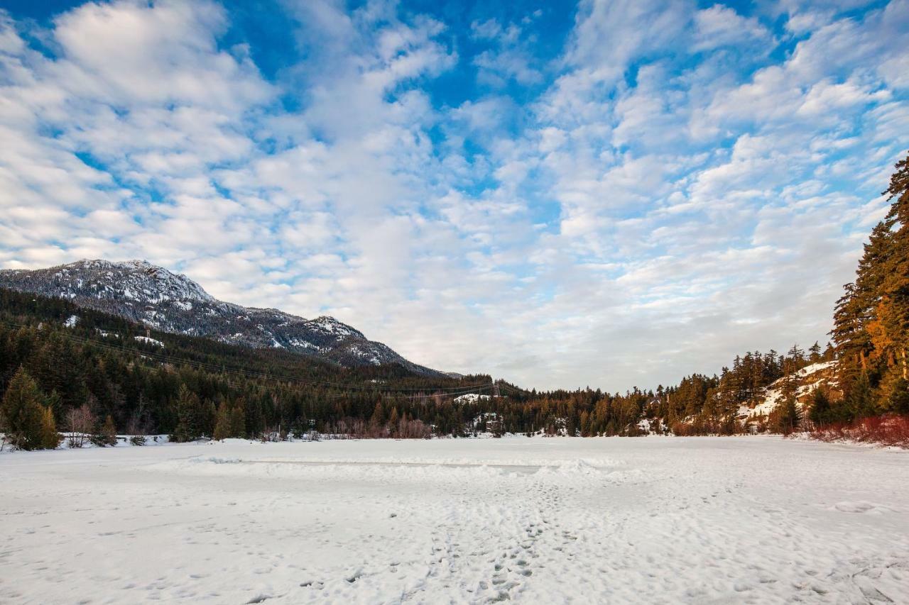 Newly Renovated Whistler Studio Exteriör bild